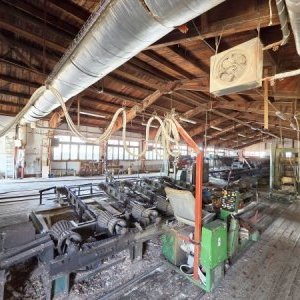 foto drewno pila 40-50m3/dzień linie G710 G560 komplet