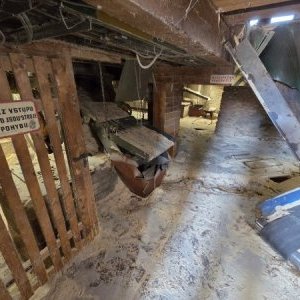 foto drewno pila 40-50m3/dzień linie G710 G560 komplet