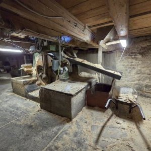 foto drewno pila 40-50m3/dzień linie G710 G560 komplet