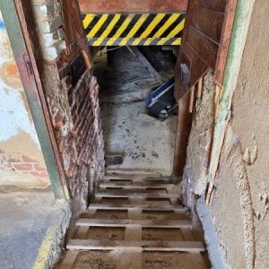 foto drewno pila 40-50m3/dzień linie G710 G560 komplet