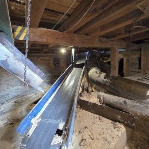 foto drewno pila 40-50m3/dzień linie G710 G560 komplet