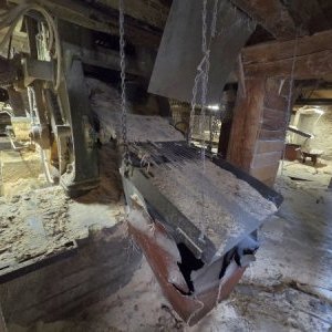 foto drewno pila 40-50m3/dzień linie G710 G560 komplet