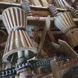 foto drewno pila 40-50m3/dzień linie G710 G560 komplet