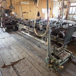 foto drewno pila 40-50m3/dzień linie G710 G560 komplet