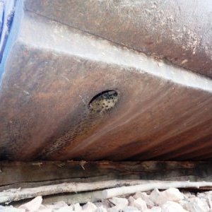 foto szczęk 145t rozdrabniacz 405-860t/h zdemontowane!