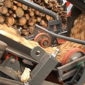 foto 180m3/h 60x120cm 19.5t bio rebak JENZ przyczepa HDS+gaszienica (platinizki maszyny) drzewo kruszarka